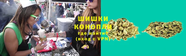 прущие грибы Баксан