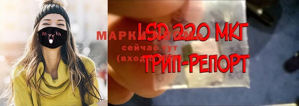 прущие грибы Баксан