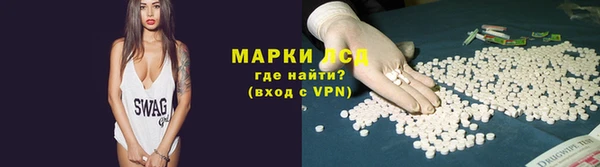 прущие грибы Баксан