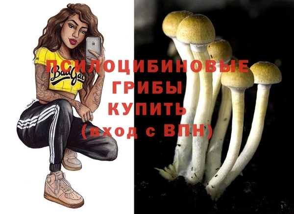 прущие грибы Баксан