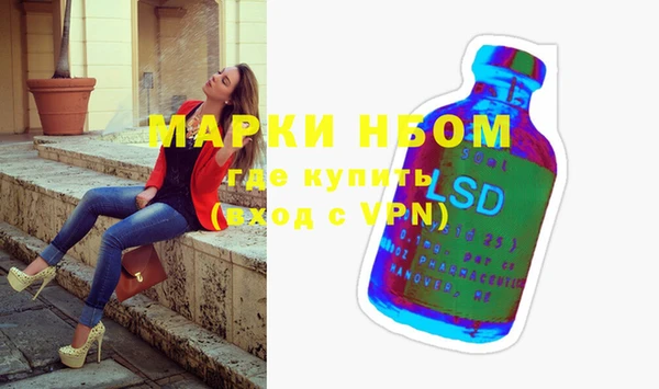 прущие грибы Баксан
